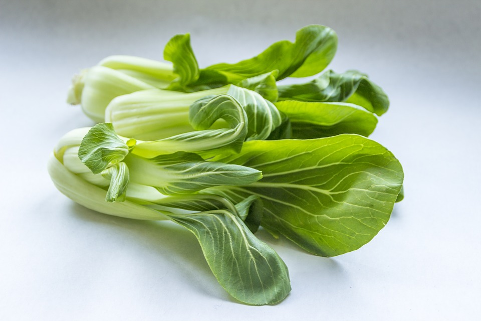 Co je to Pak choi (Brukev čínská) a jak ji využít - BydletČesky.cz